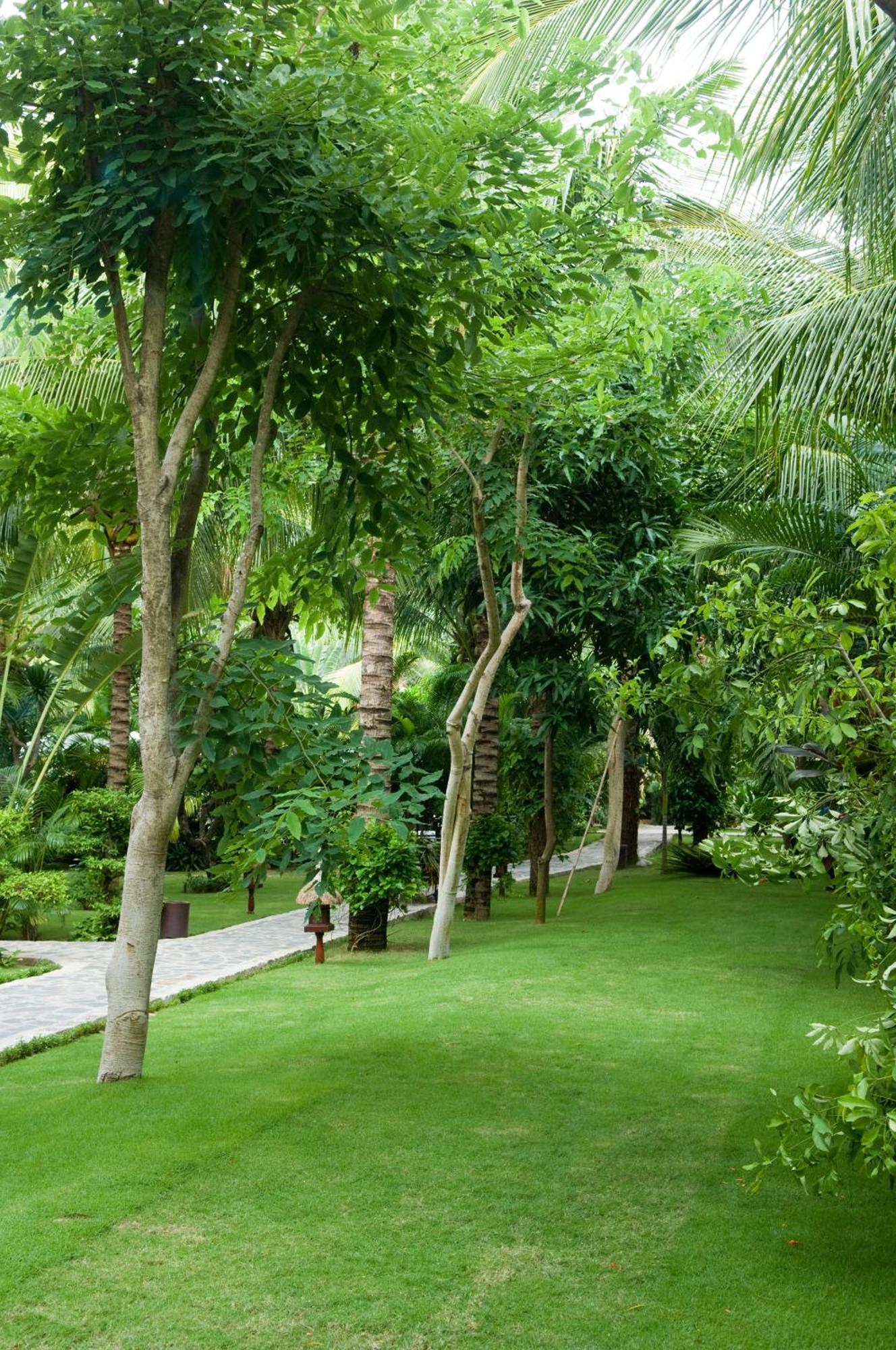 Cham Villas Resort Mui Ne Exteriör bild